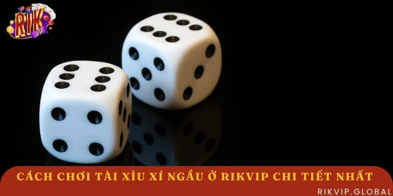 Tường tận cách chơi Tài Xỉu Xí Ngầu ở Rikvip 